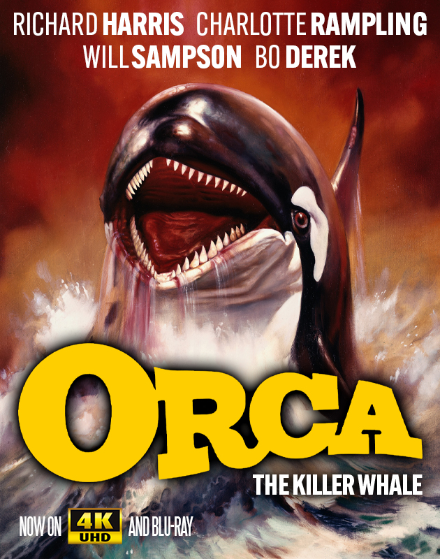 Orca