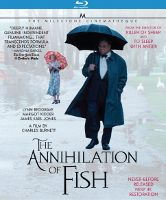 The Annihilation of Fish