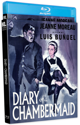 Diary of a Chambermaid