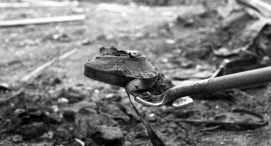 One of the many reels of the Dawson City Collection recovered in 1978. The story of this remarkable discovery is told in DAWSON CITY: FROZEN TIME.