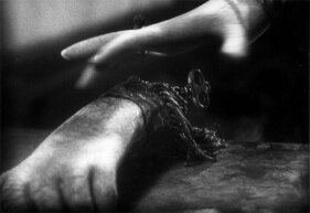 Tales from the Vienna Woods (Stille Nacht III)