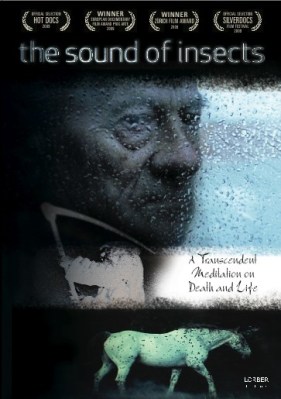 The Sound of Insects