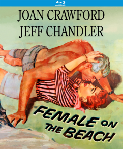 Female on the Beach (Special Edition)