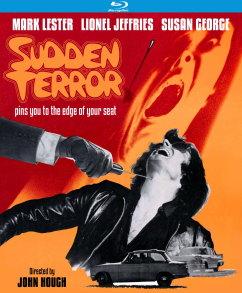 Sudden Terror aka Eyewitness