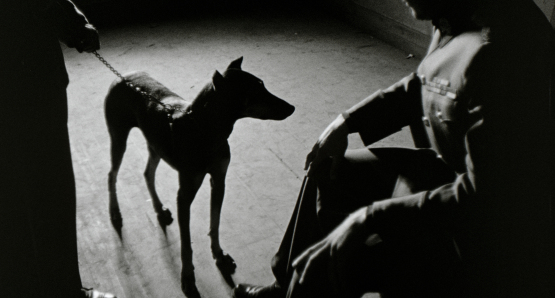 A still from Fear and Desire, a film by Stanley Kubrick, a Kino Repertory release.